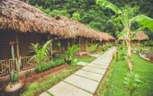 Туры в отель Tam Coc Rice Fields Resort