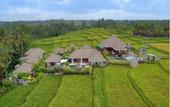 Туры в отель Anusara Luxury Villas - Adults Only