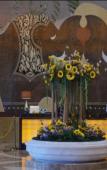 Туры в отель Grand Soluxe International Hotel