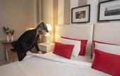Туры в отель Believe Madero Hotel