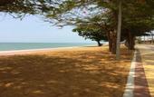 Туры в отель Bacchus Home Resort