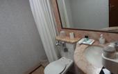 Туры в отель Hotel Residency Andheri
