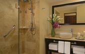 Туры в отель Dreams Los Cabos Suites Golf Resort & Spa - All Inclusive