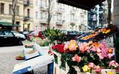 Туры в отель Pfefferbett Hostel Berlin