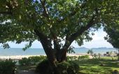 Туры в отель Le Way Resort