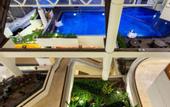 Туры в отель Hotel Santika Bandung
