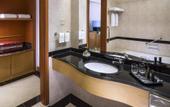 Туры в отель Hotel Santika Bandung