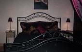 Туры в отель Riad du Petit Prince