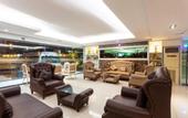 Туры в отель The Airport Greenery Hotel