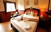 Туры в отель The Airport Greenery Hotel