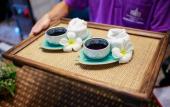 Туры в отель Vdara Pool Resort and Spa