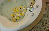 Туры в отель Vdara Pool Resort and Spa