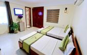 Туры в отель Amigo Hotel