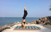 Туры в отель Moonlight Bay Resort
