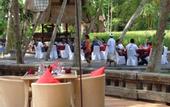 Туры в отель Arma Museum & Resort