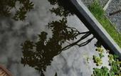 Туры в отель Amber Angkor Villa Hotel & Spa