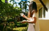 Туры в отель Luckswan resort