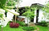 Туры в отель The Royal Shilton Resort