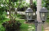 Туры в отель The Royal Shilton Resort