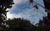 Туры в отель Sutera Sanctuary Lodges at Manukan Island