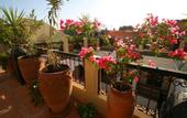 Туры в отель Riad Africa