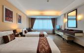 Туры в отель Avion Hotel