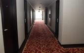 Туры в отель Swiss-Belhotel Borneo Samarinda