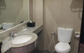 Туры в отель Swiss-Belhotel Borneo Samarinda