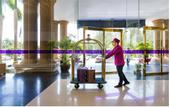 Туры в отель TTC Hotel - Phan Thiet