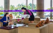 Туры в отель TTC Hotel - Phan Thiet