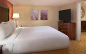 Туры в отель Toronto Airport Marriott Hotel