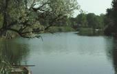 Туры в отель Tranquilla River Lodge - Adults Only