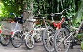 Туры в отель Kiree Thara Boutique Resort