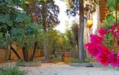 Туры в отель Palma Residences In Rome