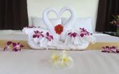 Туры в отель The Cosy Beach Resort