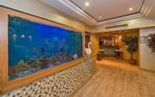 Туры в отель Beyaz Kugu Hotel
