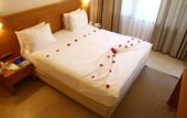 Туры в отель The Lifeco Bodrum Beach