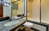 Туры в отель Hotel Regal Enclave