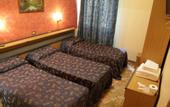Туры в отель Hotel Del Sud