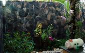 Туры в отель Rocky Point Resort
