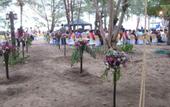 Туры в отель Rocky Point Resort