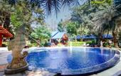 Туры в отель Rocky Point Resort