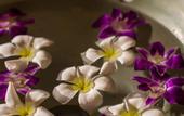 Туры в отель Buri Gallery House & Resort