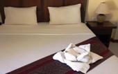 Туры в отель Paddys Palms Resort