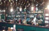 Туры в отель Paddys Palms Resort