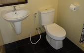 Туры в отель Paddys Palms Resort