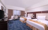 Туры в отель Merlynn Park Hotel