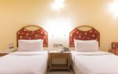 Туры в отель Hotel Airport International