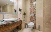 Туры в отель Holiday Inn Istanbul Sisli by IHG