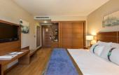 Туры в отель Holiday Inn Istanbul Sisli by IHG